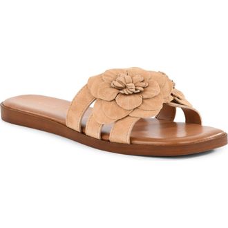 Seychelles Morning Dew Slide Sandal in Natural at Nordstrom, Size 6.5