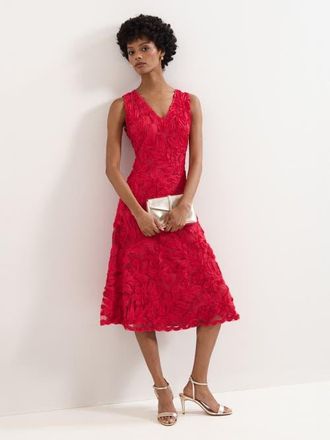 Phase Eight Paloma Embroidered Fit Flare Dress in Pink at Nordstrom, Size 14