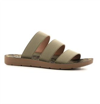Corkys Footwear Womens Dafne Strap Flat Sandal In Olive Leopard