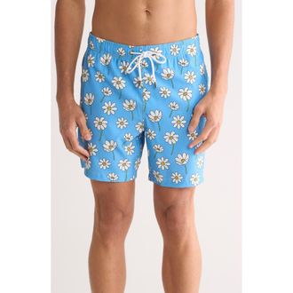 Mr. Swim Scattered Daisies Swim Shorts in Powder Blue at Nordstrom Rack, Size Xx-Large