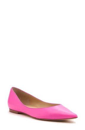 Botkier Annika Pointed Toe Flat in Neon Pink Leather at Nordstrom, Size 9