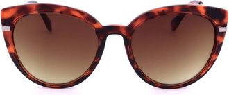 GAP Ladies Brown Cat Eye Sunglasses SGP407
