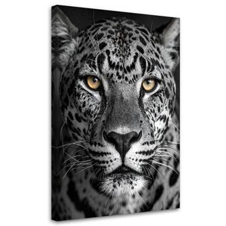 Feeby Cuadro En Lienzo, Jaguar Animales Naturaleza Blanco Y Negro, 80x120