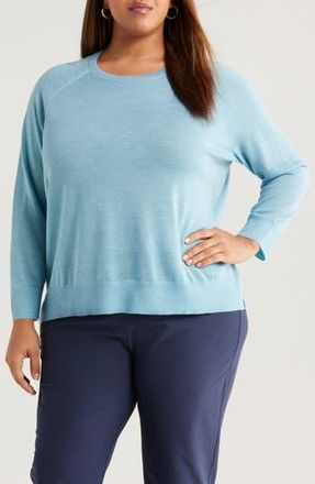 Eileen Fisher Raglan Sleeve Crewneck Merino Wool Sweater in Sea Breeze at Nordstrom Rack, Size 3 X