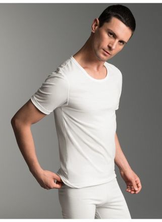 Trigema Funktionsshirt TRIGEMA TRIGEMA T-Shirt aus Merinowolle, Herren, Gr. XXL, beige (natur), 80% Wolle (Merinowolle), 20% Polyamid, Shirts Funktionsshirt