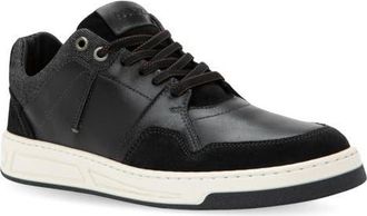 Naot Speed Sneaker in Black Leather Combo at Nordstrom, Size 46