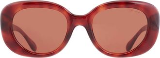 Coach Brown Oval Ladies Sunglasses HC8391U 577473 53