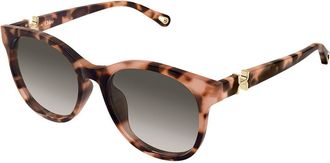 Chlo&eacute; CH0375SK Asian Fit 002 Womens Sunglasses Tortoiseshell Size 56