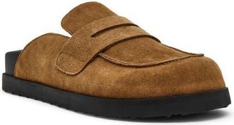Steve Madden Toryn Loafer Mule in Chestnut Suede at Nordstrom, Size 7.5