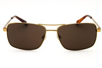 Fossil FOS3161GS0OUN70 Sunglasses - Gold