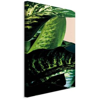 Artgeist Imagen - Dieffenbachia (1 Parte) Vertical