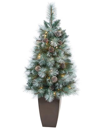 Nearly Natural 3.5Ft Frosted Tip British Columbia Mountain Pine Artificial Tree