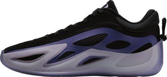 Nike Jordan Air Jordan Heir Series 2 Black Photon Dust Concord HV4417-001
