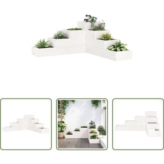 vidaXL vidaXL Fioriera a 4 ripiani - Fioriera Giardino 4 Ripiani Bianca 80,5x79x36cm Massello Pino