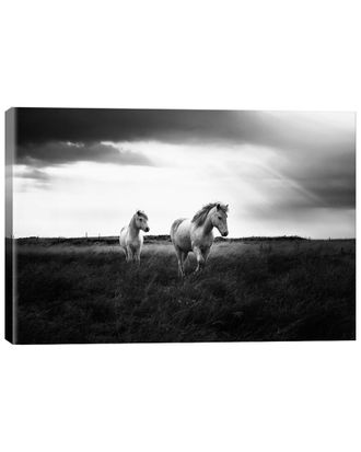 iCanvas Icanvas Bright Beauty-B&W By Andreas Stridsberg Wall Art