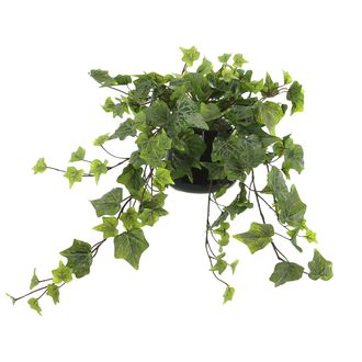 Creative Displays Inc. Ivy Arrangement in a Glass Vase