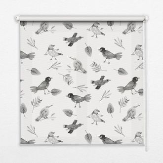 Tulup Tenda A Rullo Interna Per Finestra - Tenda Filtrante Luce - Tenda Privacy - Tenda Decorativa Rettangolare - Rullo Per Interni - (110 Cm X 140 Cm) - Uc