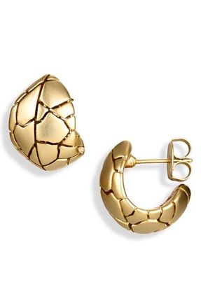 Zimmermann Byron Hoop Earrings in Gold at Nordstrom