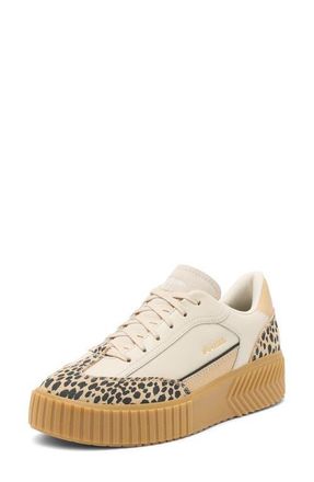 Sorel Ona Ave T-Toe Platform Sneaker in Chalk/Gum at Nordstrom, Size 10.5