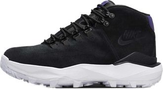 Nike Cygnal Black Court Purple FV4332-001