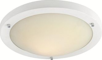 Netlighting Rondo LED 24 Light Flush Ceiling Light Matt White Opal Glass IP44