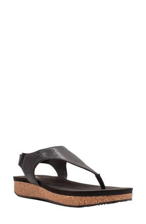 Volatile Trek Water Resistant Flip Flop in Black at Nordstrom, Size 8