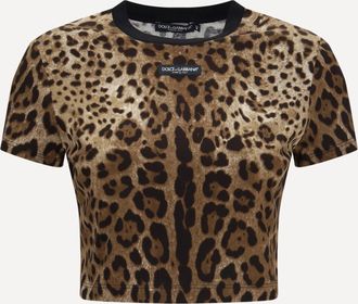 Dolce & Gabbana Leopard-print cropped T-shirt Female 42