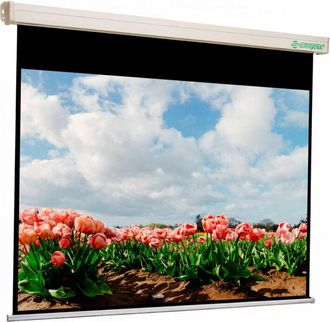 No Brand Sopar Platinum Pantalla De Proyecci&oacute;n 3,66 M (144) 4:3