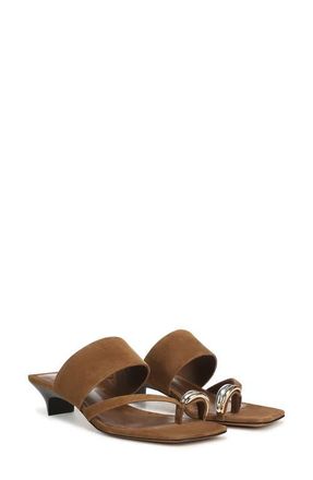 Vince Stacy Toe Loop Sandal in Elmwood at Nordstrom, Size 5.5
