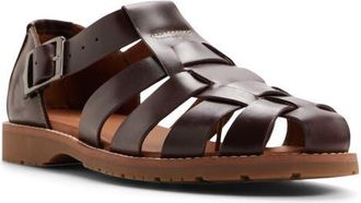 G.H. Bass & Co. Reed Fisherman Sandal in Brown at Nordstrom, Size 13