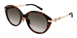 Gucci GG2056SA Asian Fit 003 Womens Sunglasses Tortoiseshell Size 56 - Free RX Lenses - Free RX Lenses