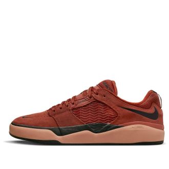 Nike Ishod Wair SB Rugged Orange Mineral Clay DC7232-800