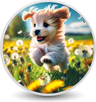 OEM Moneda Plateada De 1 Oz Con La Alegr&iacute;a Del Cachorro Primaveral
