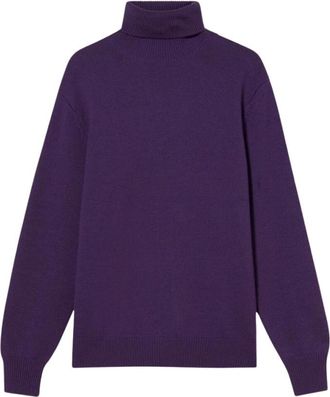 Brooks Brothers Truien & Vesten, Heren, Paars, 2Xl, Wol, Merino Wol Trui met Col