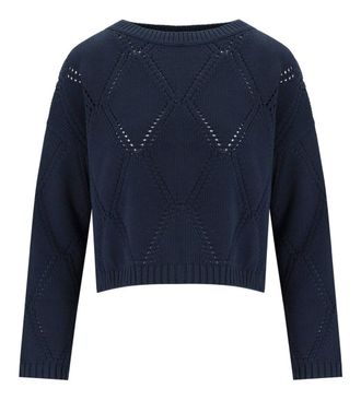 Max Mara Abbozzi Blue Crewneck Sweater