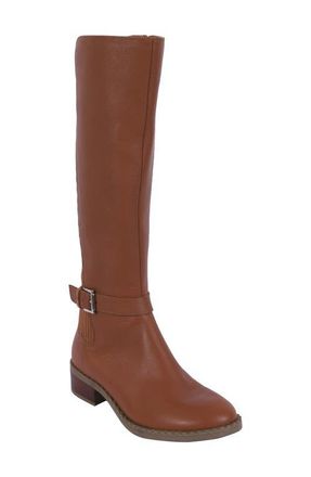Gentle Souls Brinley Knee High Boot in Luggage Leather at Nordstrom, Size 10
