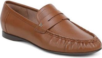 Naturalizer Bloom Penny Loafer in Walnut Wake at Nordstrom, Size 9.5