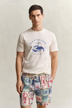 GANT Men Graphic T-Shirt (XXXL) CREAMED WHITE