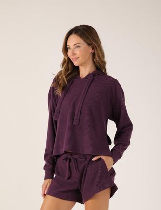 Glyder Valley Hoodie in Blackberry Jam at Nordstrom, Size X-Large