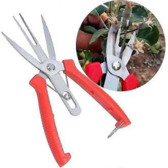 OEM Tijeras De Acero Inoxidable Forjado Para Manzanos Y Perales (herramientas Agr&iacute;colas De Doble Gancho). Tijeras Para Aclareo De Flores Y Frutos - Crezuo