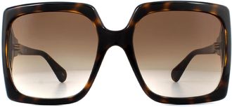 Gucci Square Dark Havana Brown Gradient Sunglasses