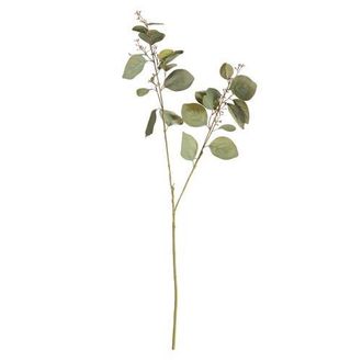 Napa Home & Garden Silver Dollar Eucalyptus Branch 32 in Green at Nordstrom