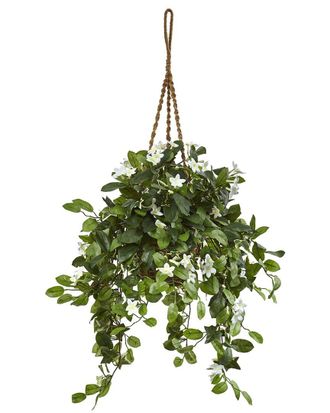 Nearly Natural Stephanotis Flowering Artificial Plant In Hanging Basket