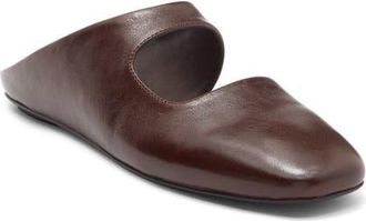 Jeffrey Campbell Siesta Leather Mule in Coffee at Nordstrom, Size 8.5
