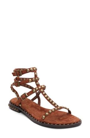 Ash Play 2 Gladiator Sandal in Tajine at Nordstrom, Size 10Us