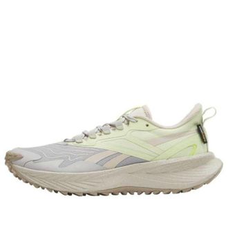 Reebok (WMNS) Reebok Floatride Energy 5 Adventure Steely Fog Citrus Glow 100025746