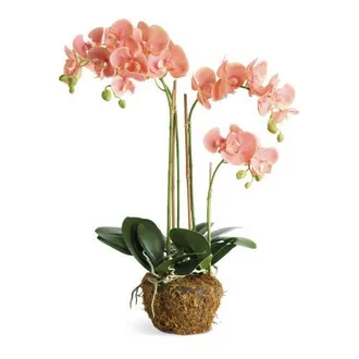 Napa Home & Garden Phalaenopsis Pink Polyester Orchid Drop-In 30 at Nordstrom