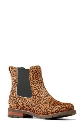 Ariat Wexford Genuine Calf Hair Chelsea Boot in Brown at Nordstrom Rack, Size 10.5