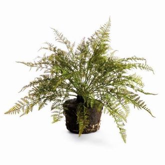 Napa Home & Garden Soft Fern Drop-In 18.5 in Green at Nordstrom