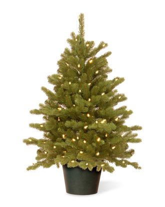 National Tree Company 3Ft Feel-Real Hampton Spruce Small Wrapped Tree In Growers Pot With 100 Clear Lights
